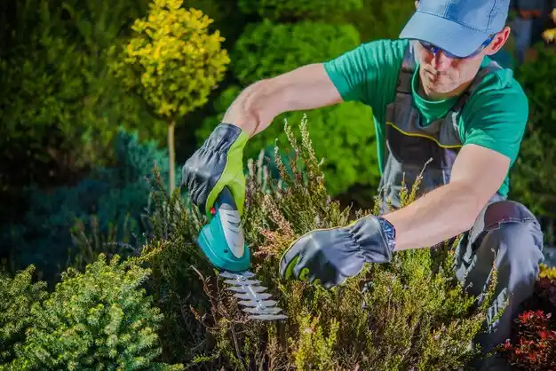 landscaping services Meraux